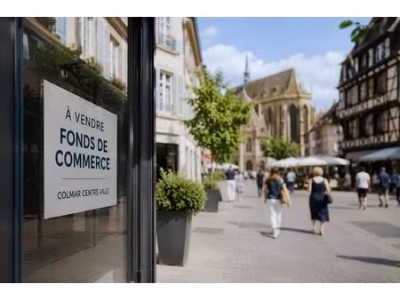 colmar centre-ville : opportunité rare !