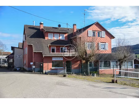 immeuble  appartements et locaux commerciaux