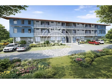 achat local professionnel 150m² remire montjoly 97354