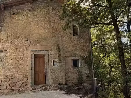 vente maison saint-alban-de-roche 38080 - - surface privée