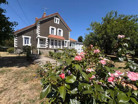 vente maison 11 pièces  265.00m²  nalliers