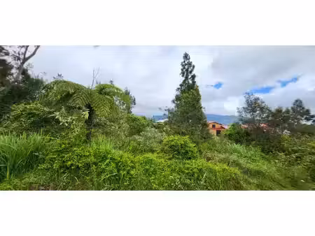 achat terrain 750m² la plaine des palmistes 97431