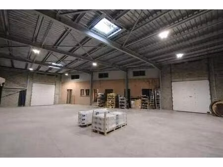 vente entrepôt portet sur garonne 31120 889m²