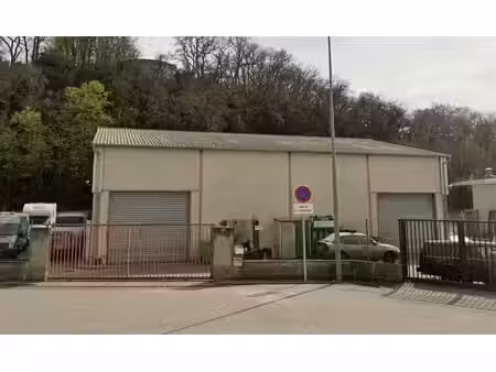 vente local d’activités marcilly-d’azergues 69380 460m²
