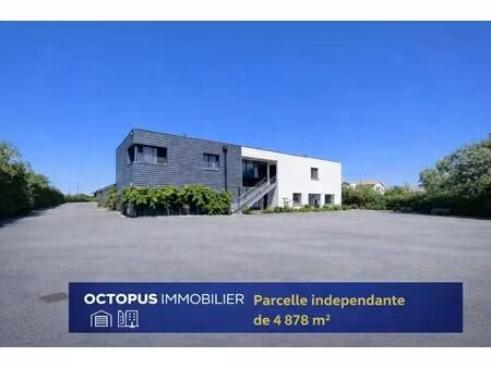 vente local d’activités muret 31600 2640m²