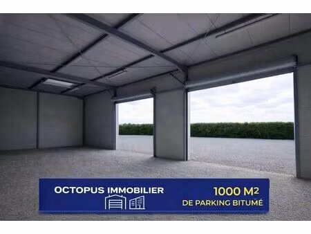 vente local d’activités toulouse 31200 526m²