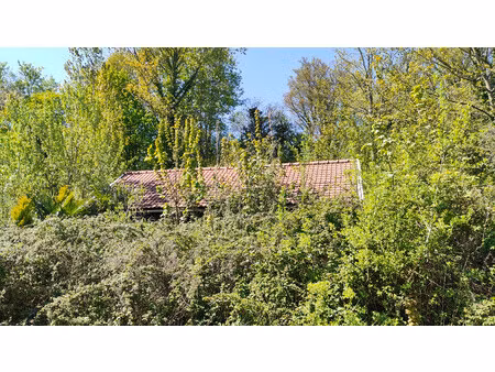 chalet à vendre à willeman (62770) - pas-de-calais