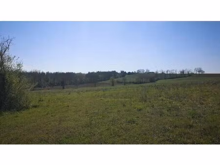 à vendre  gers : terrain agricole de 2 6 ha à vendre en périphér