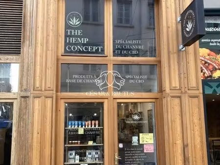 location commerce lyon 69001 44m²