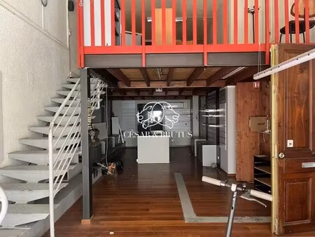 location commerce grenoble 38000 238m²