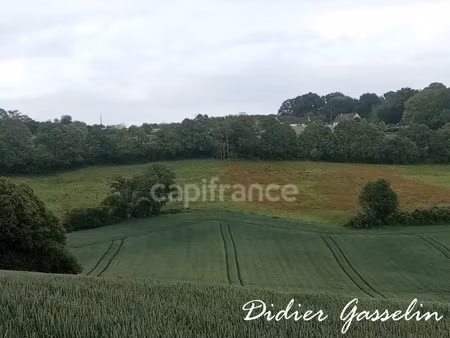 vente terrain 249400 m² arcisses (28400)