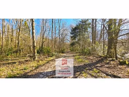 domaine forestier 9 6 hectares