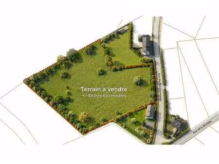 terrain