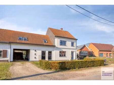 house with horse paddock 0.5 ha in langdorp