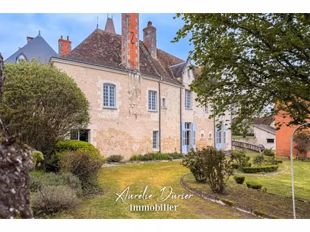 vente maison 20 pièces 1000 m² à preuilly-sur-claise (37290)  451 500 €