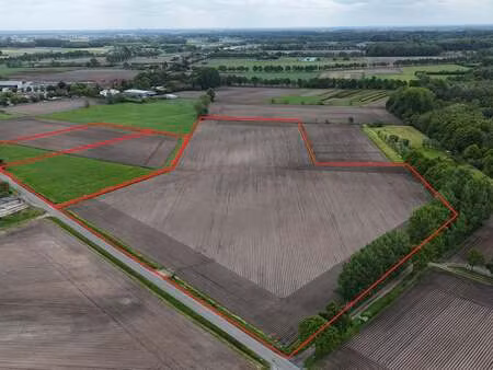 terrain à vendre à maldegem € 470.000 (logk2) - julie leroy | zimmo