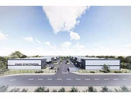 vente local d’activités dagneux 01120 315m² à 2530m²