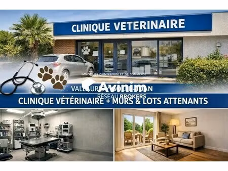 vente local d’activités vallauris 06220 400m²