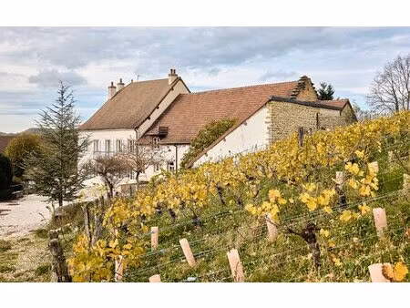 une maison de pierre entre vignes et coteau