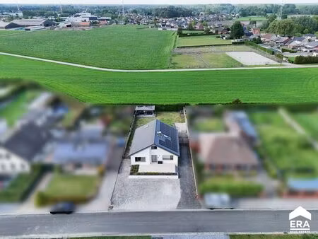 maison à vendre à sint-huibrechts-lille € 525.000 (logpg) - era carl tournier (pelt) | zim