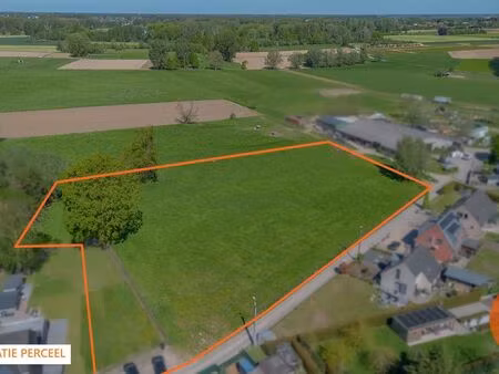 terrain à vendre à erpe € 450.000 (logfk) - horse immo | zimmo