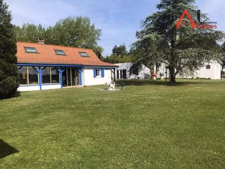 sarl alliances immobilieres