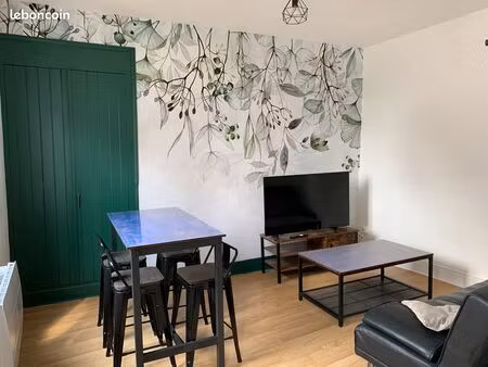 t2 38m2 avec tv connectée 50 pouces et salle de bains neuve  à deux pas des halles et de l