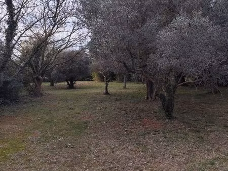 terrain constructible pont de crau
