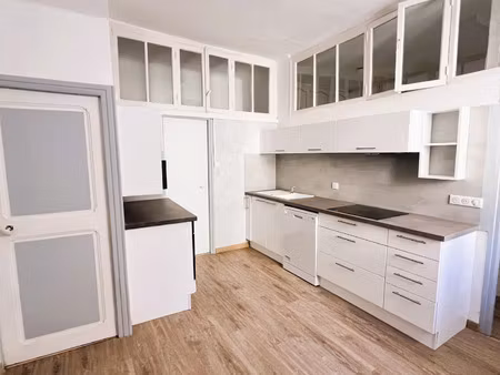 vente appartement 3 pièces 55 m² saint-sauveur-sur-tinée (06420)