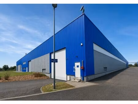 vente local d’activités tonneins 47400 4450m²