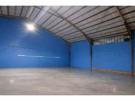 vente local d’activités toulouse 31300 254m²