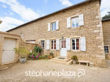 stephane plaza immobilier macon