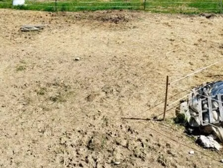location parcelle chevaux