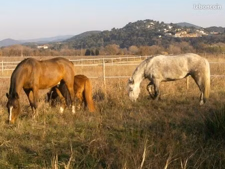 terrain agricole plat 3500 m2 entre cuers et pierrefeu