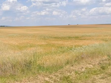 vente terrain 740 m² à avord (18520)  23 540 €
