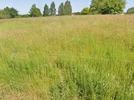 vente terrain à batir 1200 m² à uzemain (88220)  38 000 €