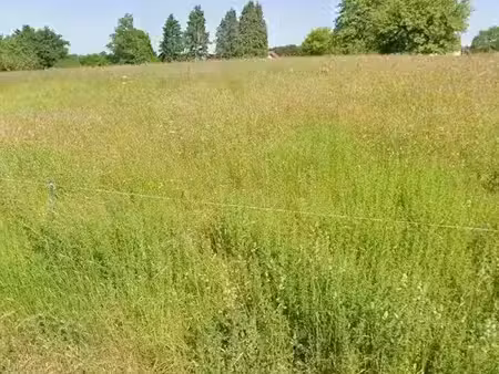 vente terrain à batir 2425 m² à uzemain (88220)  38 000 €
