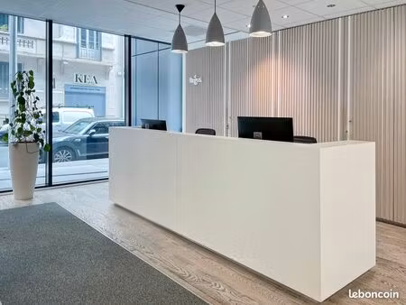 bureau privé à louer pour 1 personnes à lyon  brotteaux