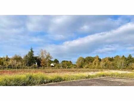 vente terrain à grangues (14160) : à vendre / 743m² grangues