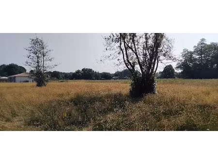 vente terrain 730 m² à cussac-fort-médoc (33460)  69 000 €