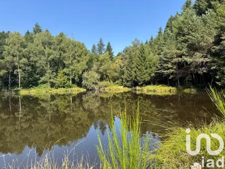 vente terrain 30452 m² à nieul (87510)  59 000 €