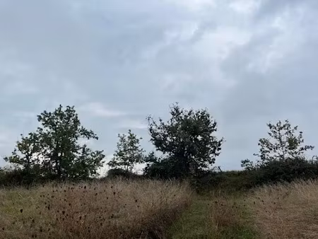 vente terrain 768 m² à castelnau-de-montmiral (81140)  54 000 €