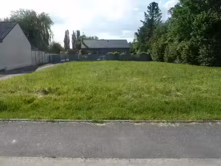 vente terrain 800 m² à cagnoncles (59161)  59 900 €