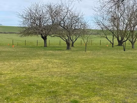vente terrain 706 m² à vineuil (41350)  68 000 €