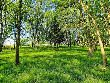 vente terrain de loisirs  6105.00m²  terranjou