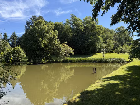 petit etang avec terrain