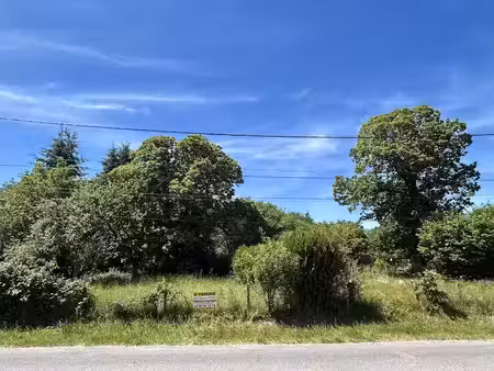 vente terrain 5541 m² à aubigny-sur-nère (18700)  118 770 €