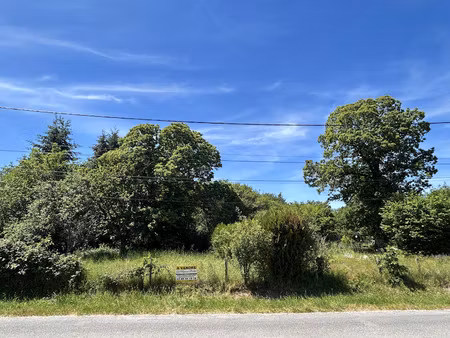 vente terrain à aubigny-sur-nère (18700)  118 770 €