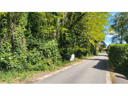 vente terrain à batir 664 m² à auvers-saint-georges (91580)  129 000 €