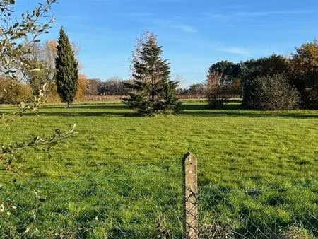 terrain 316 m² carbon blanc